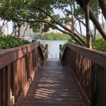 Qual o melhor mês para viajar para Miami?